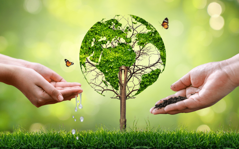 Cycle : les fondamentaux du droit de l'environnement l'avocat face à la diversité des acteurs du droit de l'environnement